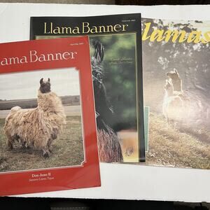 Set of 3 Vintage Llama Banner Magazines April May June July August 1993